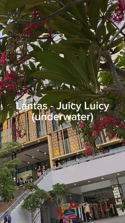 Lantas - Juicy Luicy