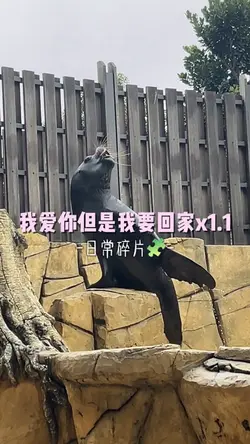 日常碎片🧩
