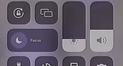 Game highlights