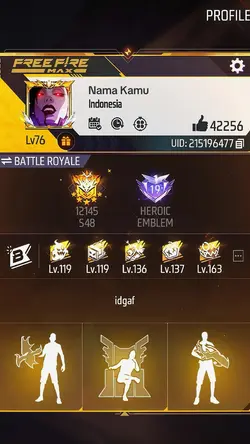 Mentahan profil ff