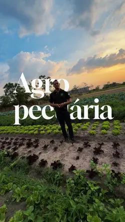 Stories Agropecuária