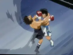 IPPO!