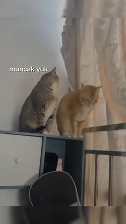 muncak yuk, kapan?