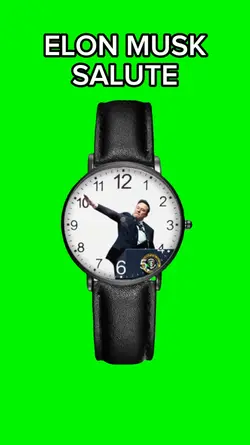 Elon Musk Salute 