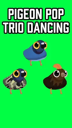 PIGEON POP TRIO MEME