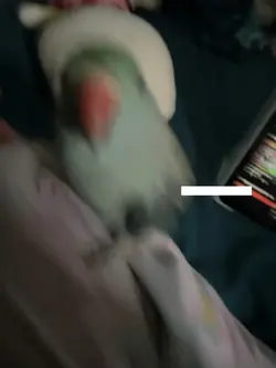 .
