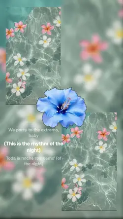 the rythme 