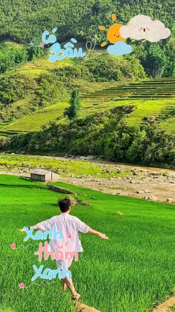 Mẫu 8 ảnh
