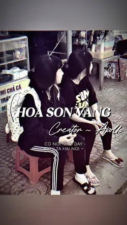 HOA SON VÀNG REMIX
