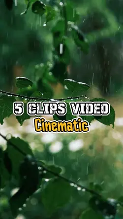 5 Clips Video
