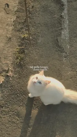 Tak perlu tunggu dun