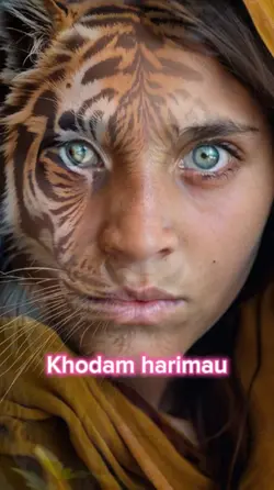 Kodam harimau 
