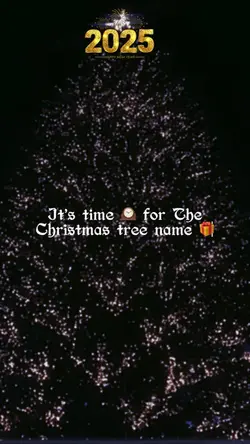 Christmas 🎄name ⭐️