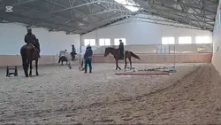 skoczki