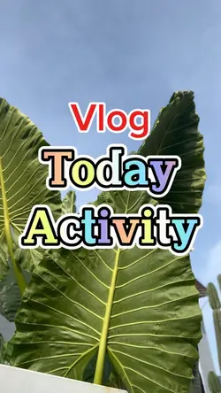 Minivlog 14 clips 
