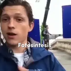 Hola tonotos