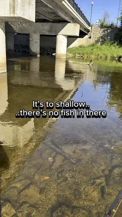 Shallow ftw