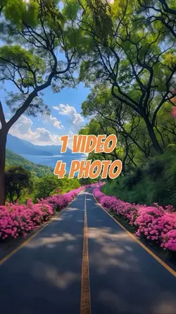1 Video 4 Photo