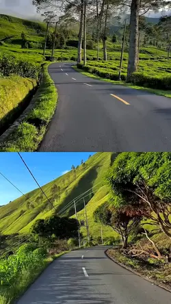 2 video collage 