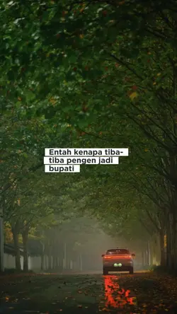 Bupati