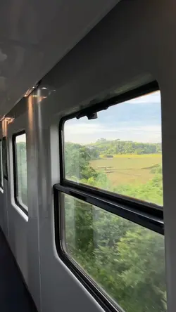 Peaceful travel