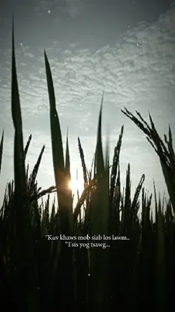 Kuv khaws mob siab 