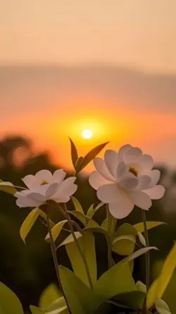 ႁၵ်ႉႁႅင်းၸဵပ်းႁႅင်း
