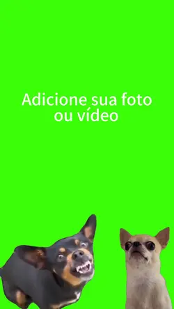 Cachorro com raiva.