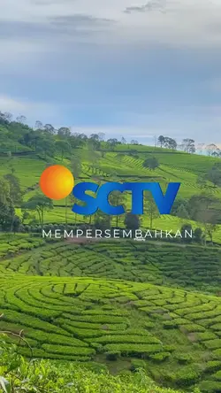 Tren SCTV