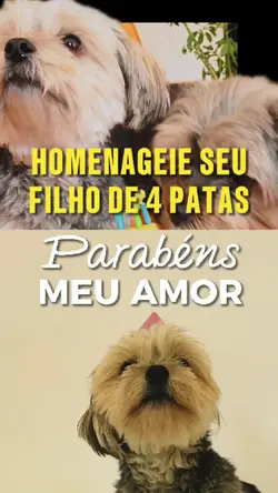 Parabéns, meu amor 