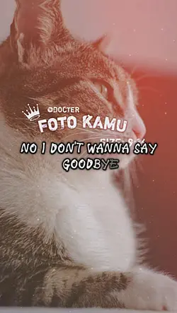 wanna say goodbye 