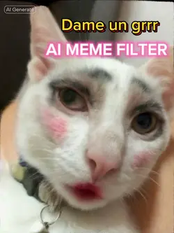 AI MEME FILTER