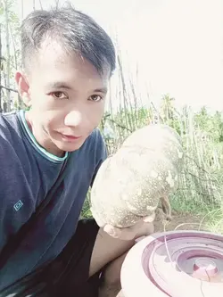 kalabasa 