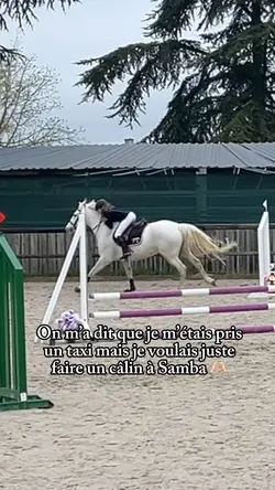 Je vous jure ✨🤣