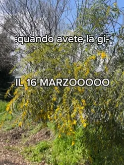 Il 16 MARZOOO