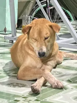 1ảnh thương em 