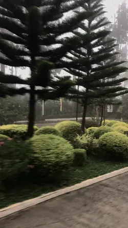 Mini vlog