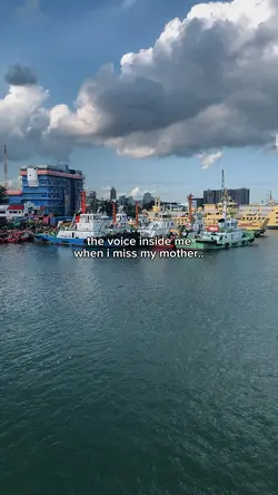 THE VOICE INSIDE ME