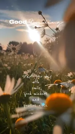 Morning Vibes 🌼