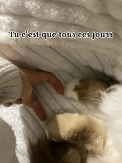 Je retourne.