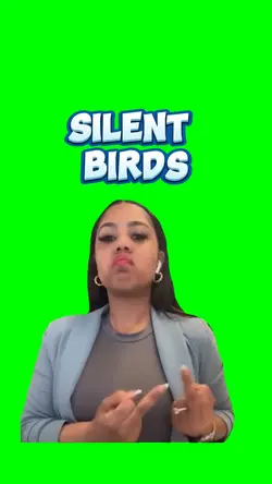 silent birds