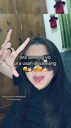 v no mirror 