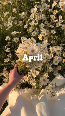 April 2025🌞