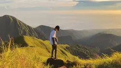 Landscape Aesthetic