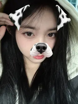 dog filter