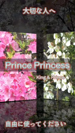 Prince Princess