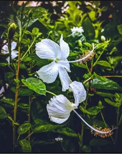 যত ভুল 🦋🙂🥹