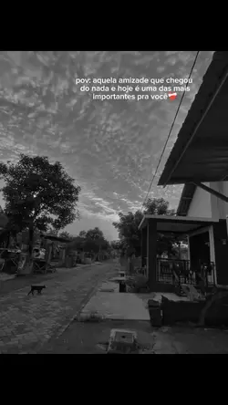 amizade verdadeira 