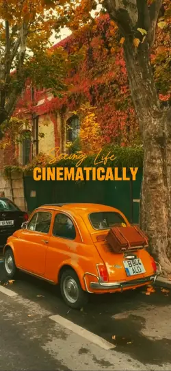Cinematics
