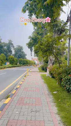 Mini Vlog🌸